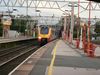 P1010056.JPG