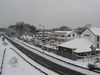 P1040779.JPG
