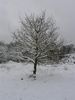 P1040800.JPG