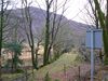 P1070558.JPG